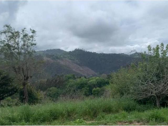 Terreno en venta en Villaviciosa, Asturias