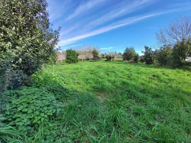 Terreno en venta en Villaviciosa