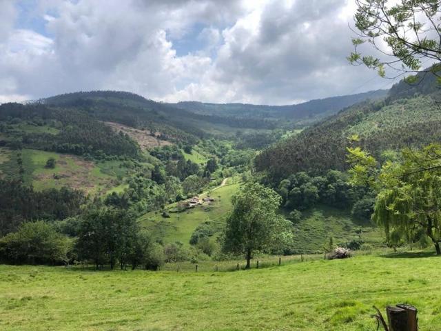Terreno en venta en Villaviciosa