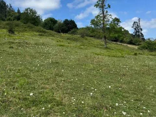 Terreno en venta en Villaviciosa, Asturias