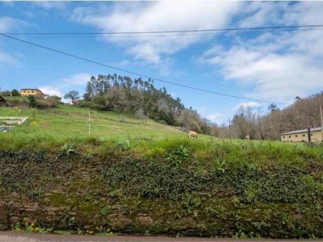 Terreno en venta en Villaviciosa, Asturias