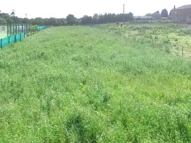 Terreno en venta en Villaviciosa, Asturias