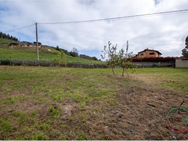 Terreno en venta en Villaviciosa, Asturias
