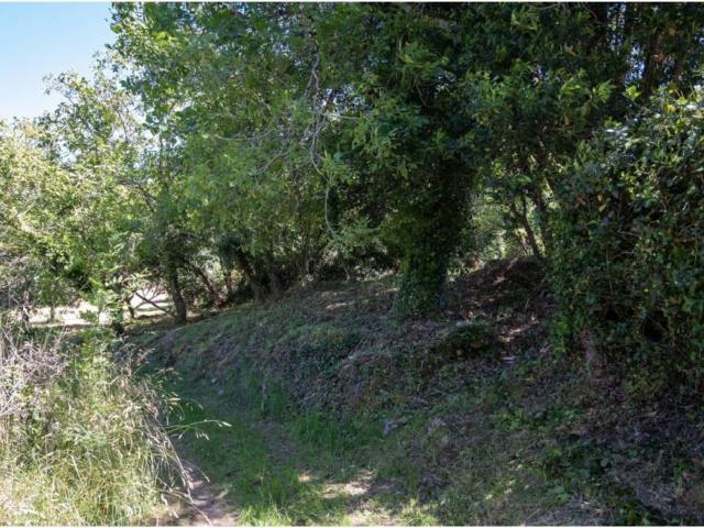 Terreno en venta en Villaviciosa, Asturias