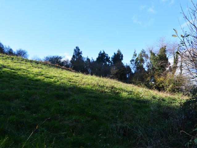 Terreno en venta en Villaviciosa