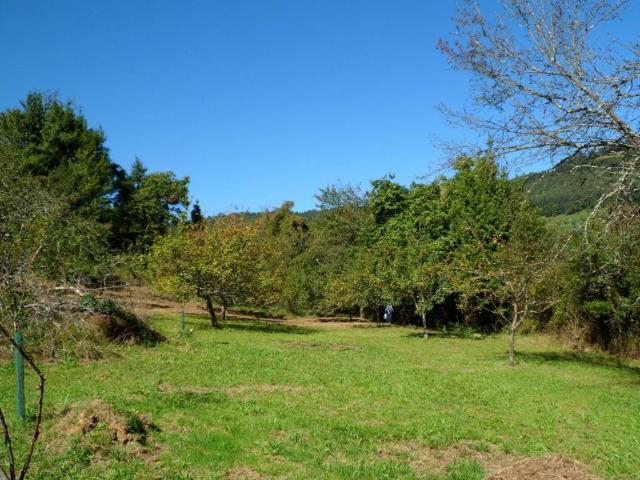 Terreno en venta en Villaviciosa, Asturias