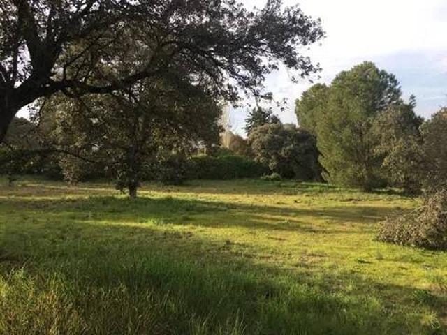 Terreno en venta en El Bosque, Villaviciosa De Odón
