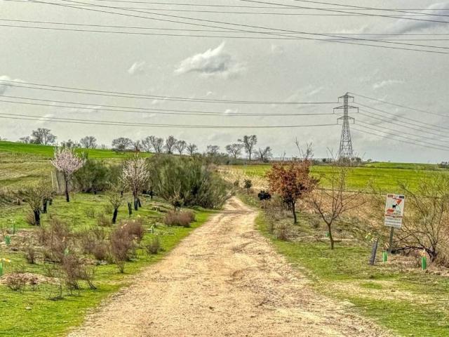 Terreno en venta en Villaviciosa De Odón, Madrid