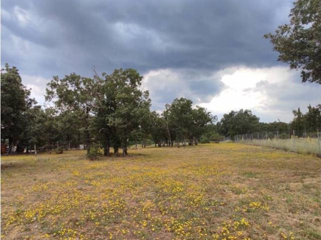 Terreno en venta en Villavieja Del Lozoya, Madrid