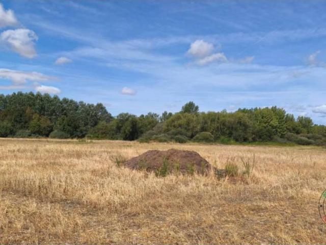 Terreno en venta en Villazanzo De Valderaduey, Castilla y León