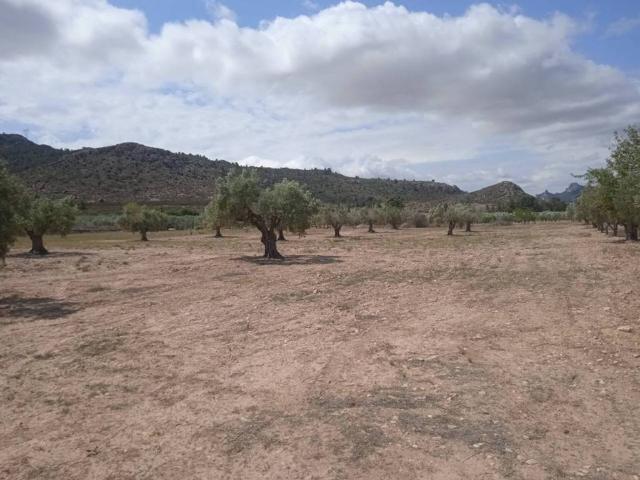 Terreno en venta en l'Alt Vinalopó / El Alto Vinalopó, Valencia