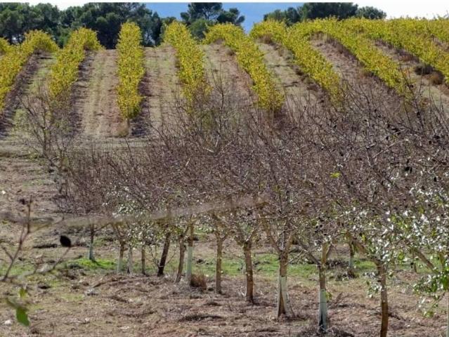 Terreno en venta en la Costera, Valencia