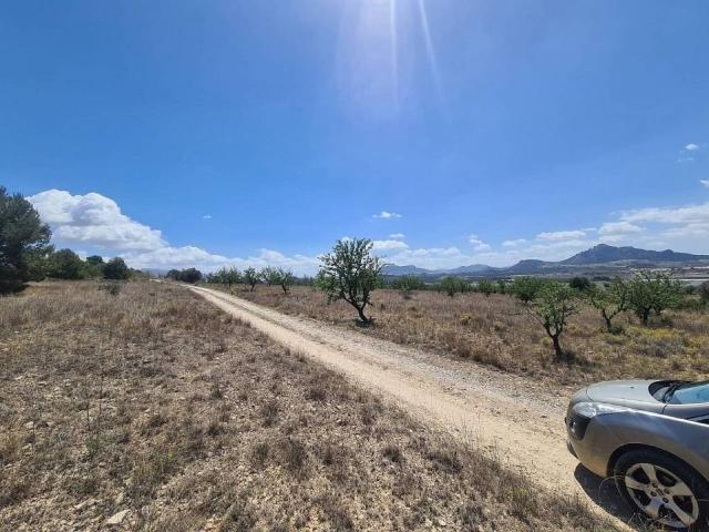 Terreno en venta en l'Alt Vinalopó / El Alto Vinalopó, Valencia