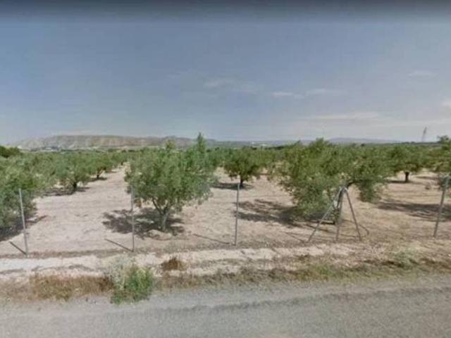Terreno en venta en l'Alt Vinalopó / El Alto Vinalopó, Valencia