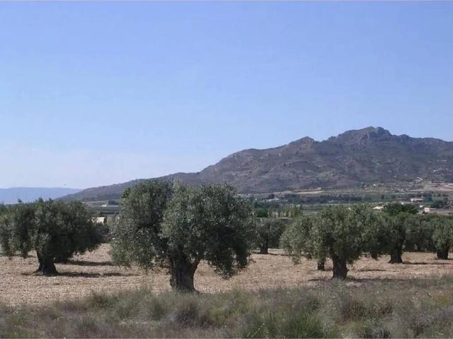 Terreno en venta en l'Alt Vinalopó / El Alto Vinalopó, Valencia