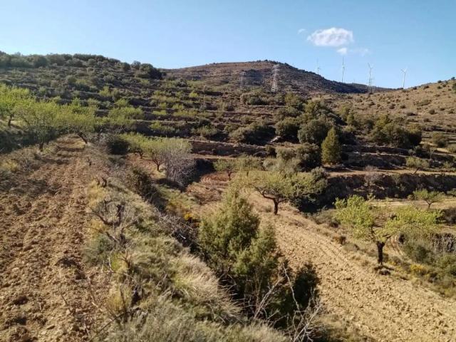 Terreno en venta en els Ports, Valencia