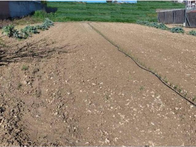 Terreno en venta en Alt Penedès, Catalunya