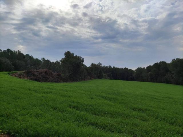 Terreno en venta en Vilopriu