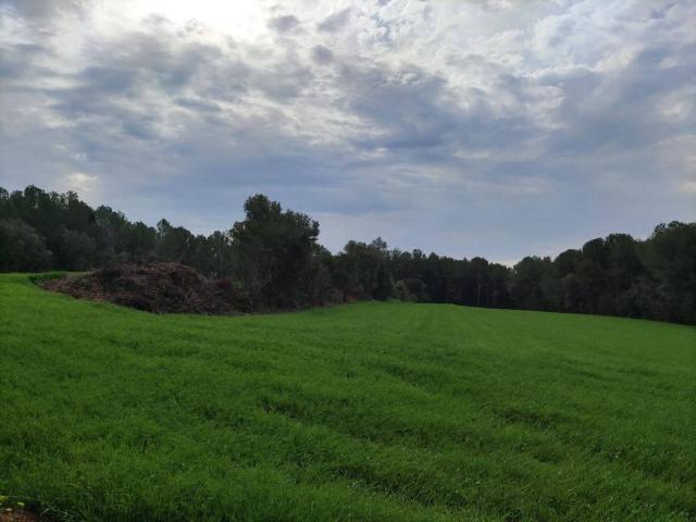 Terreno en venta en Baix Empordà, Catalunya