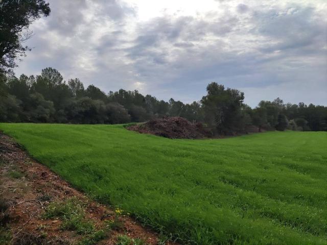 Terreno en venta en Baix Empordà, Catalunya
