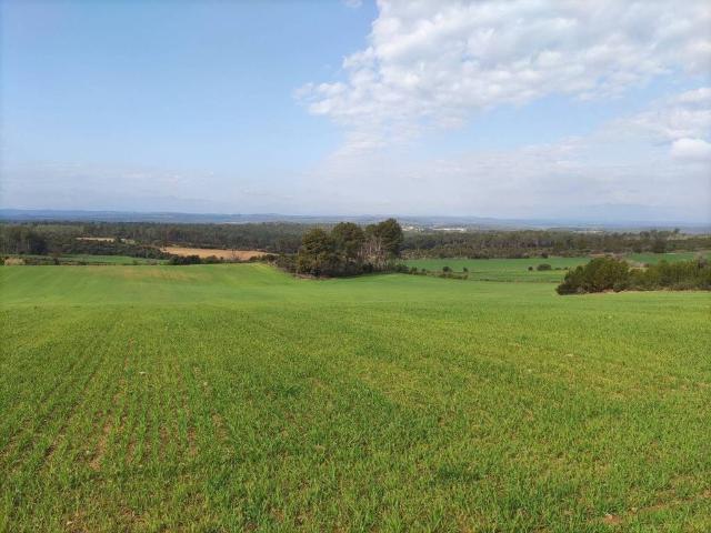 Terreno en venta en Baix Empordà, Catalunya