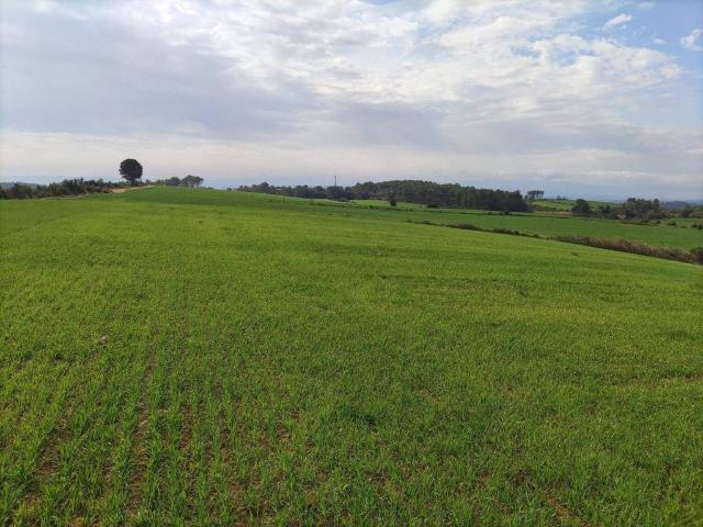 Terreno en venta en Baix Empordà, Catalunya