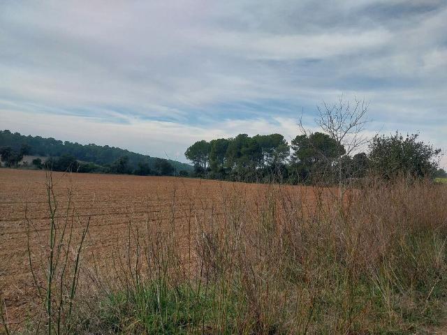 Terreno en venta en Baix Empordà, Catalunya