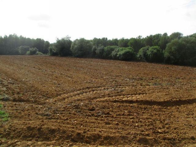 Terreno en venta en Vilopriu