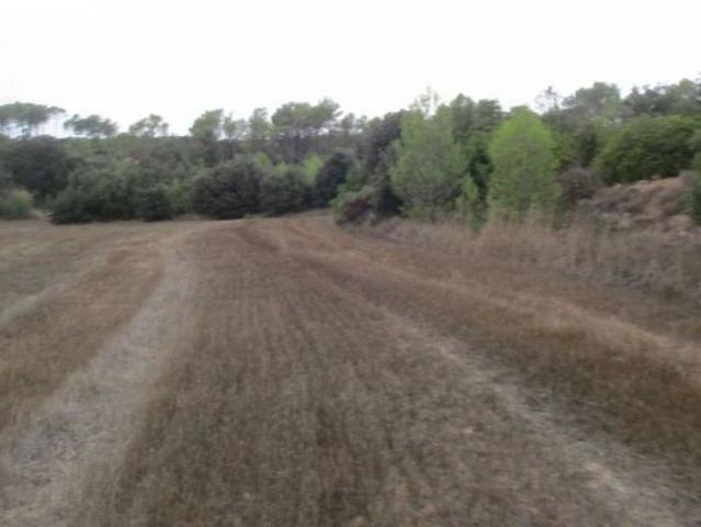 Terreno en venta en Vilopriu