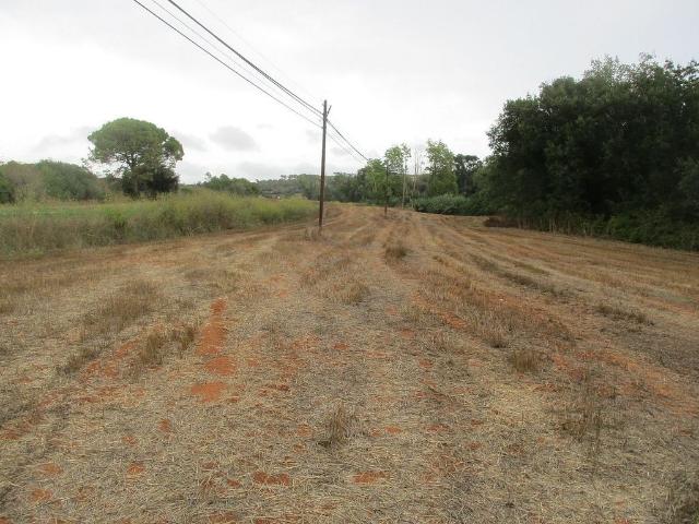 Terreno en venta en Vilopriu