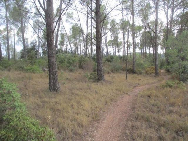 Terreno en venta en Baix Empordà, Catalunya