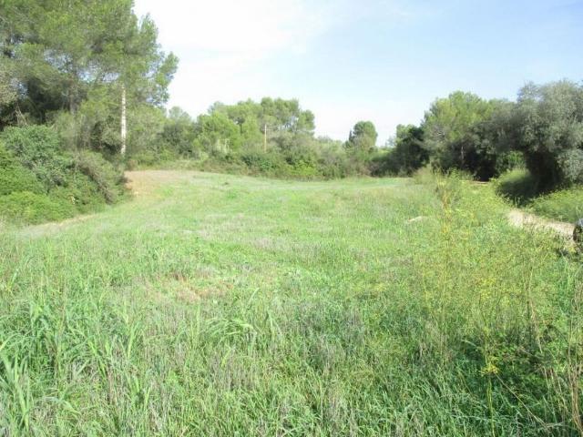 Terreno en venta en Vilopriu
