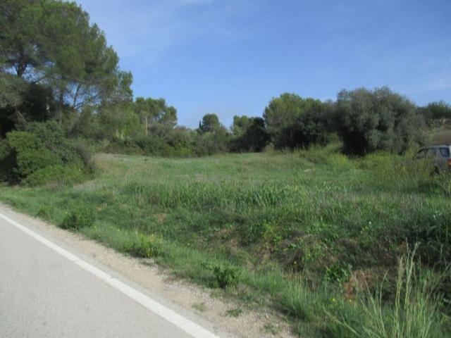 Terreno en venta en Baix Empordà, Catalunya