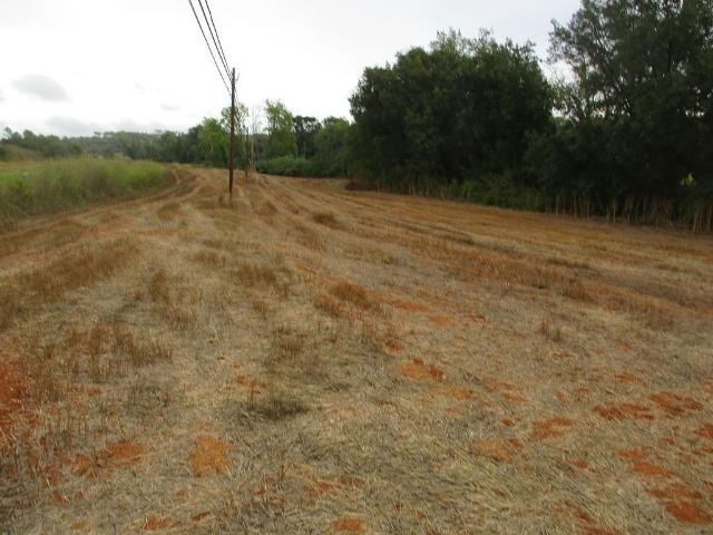 Terreno en venta en Vilopriu