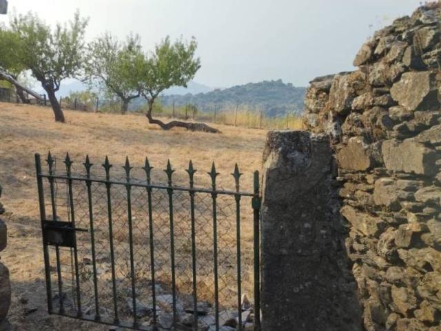 Terreno en venta en Vilvestre, Castilla y León