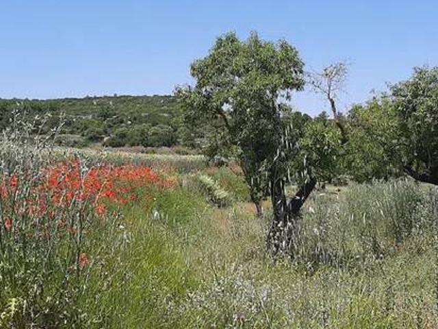 Terreno en venta en Garrigues, Catalunya