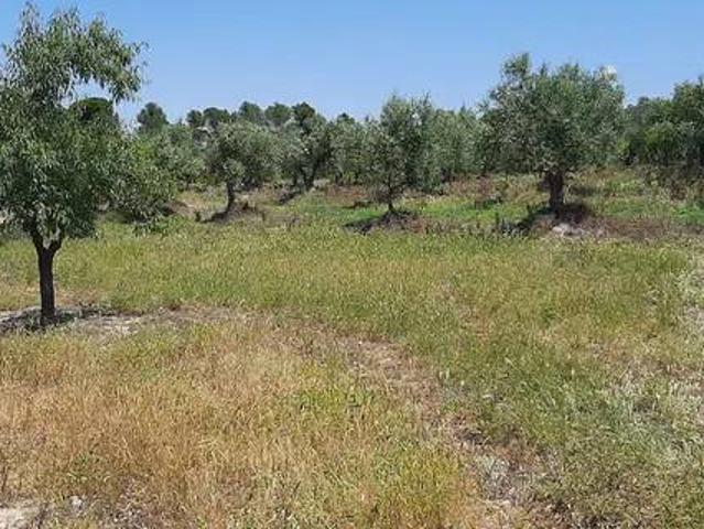 Terreno en venta en Garrigues, Catalunya