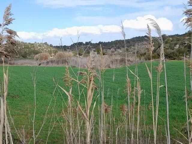 Terreno en venta en Garrigues, Catalunya