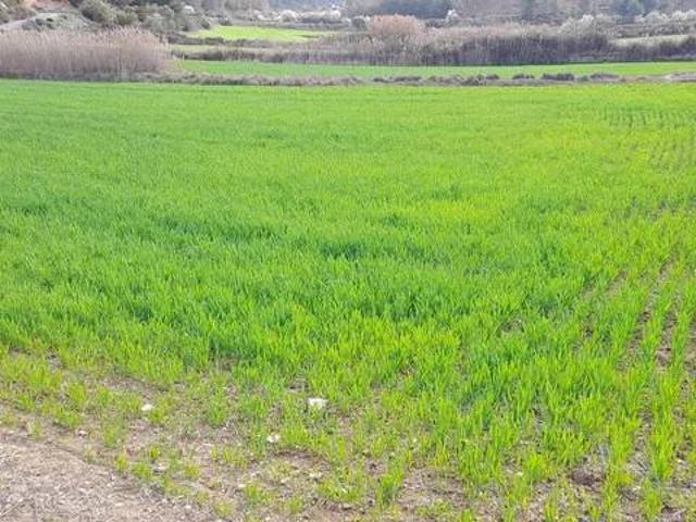 Terreno en venta en Garrigues, Catalunya