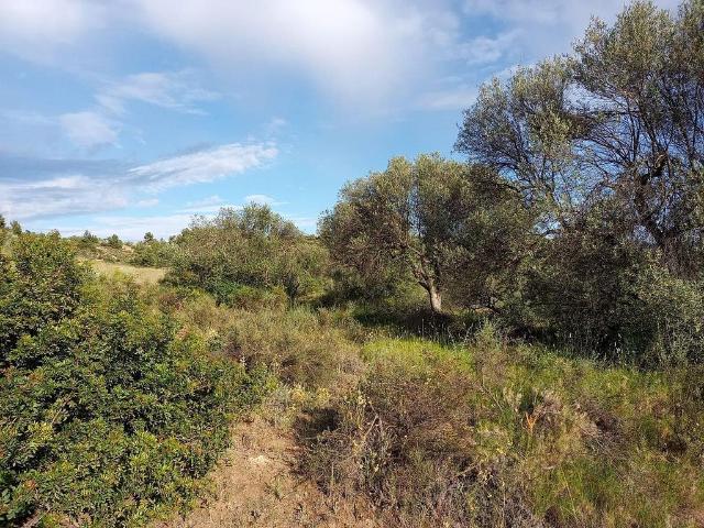 Terreno en venta en Ribera d'Ebre, Catalunya