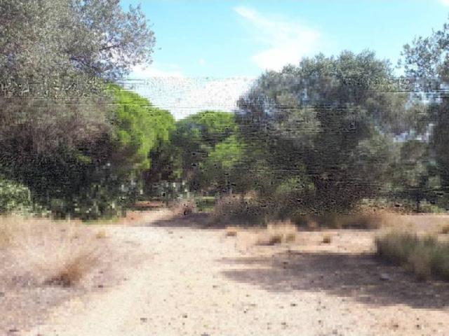 Terreno en venta en Baix Camp, Catalunya