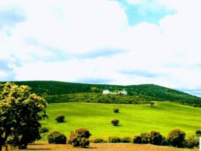 Terreno en venta en Viso Del Marqués, Castilla-La Mancha