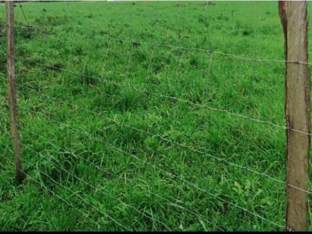 Terreno en venta en Bádames, Voto