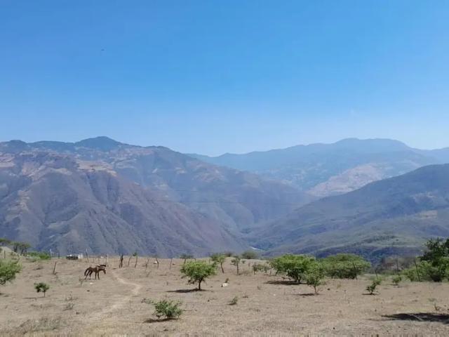 Terreno en venta en Llera, Tamaulipas