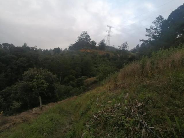 Terreno en venta en Llera, Tamaulipas