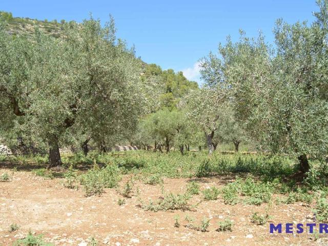 Terreno en venta en la Marina Alta, Valencia
