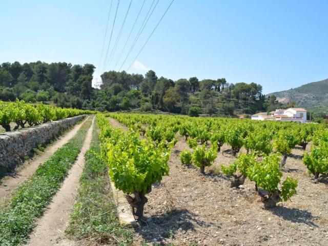 Terreno en venta en la Marina Alta, Valencia