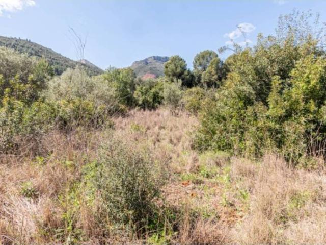 Terreno en venta en la Marina Alta, Valencia