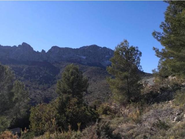 Terreno en venta en la Marina Alta, Valencia