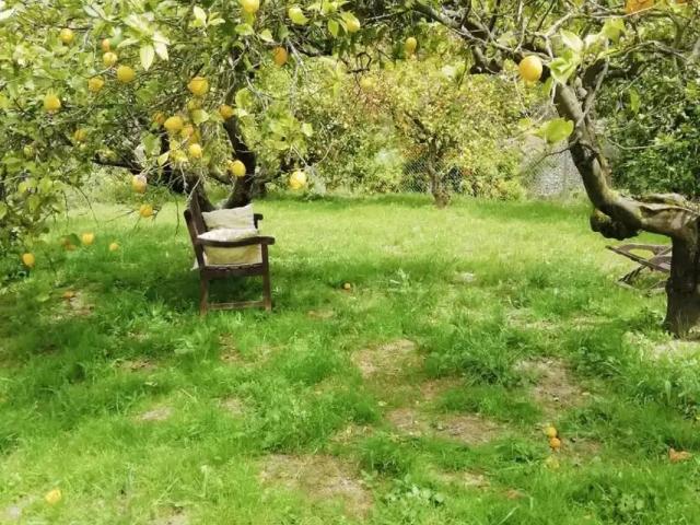 Terreno en venta en la Marina Alta, Valencia